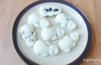 Recipe: Easy Frozen Dog Treat Easy Frozen Dog Treat Recipe
