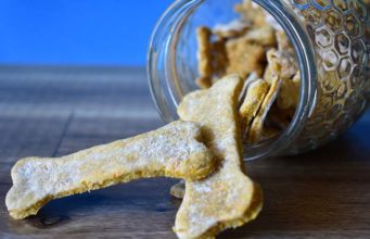 My 9 Favorite Books on Cooking for Dogs My 9 Favorite Books on Cooking for Dogs