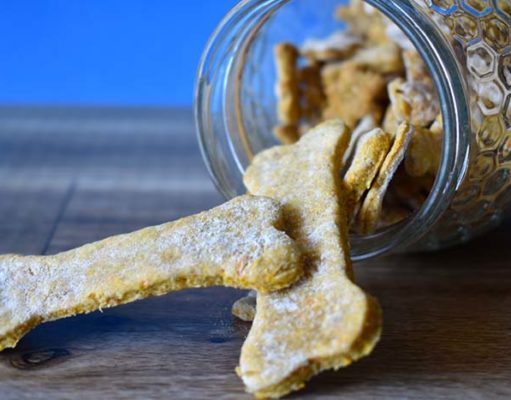 My 9 Favorite Books on Cooking for Dogs My 9 Favorite Books on Cooking for Dogs