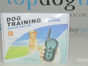Giveaway: RichDog Electronic Dog Training Collar ($70+ Value) RichDog Electronic Collar Giveaway
