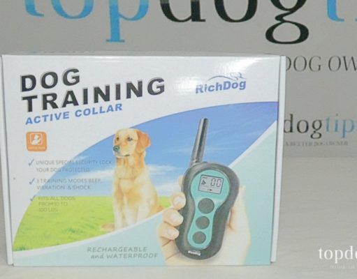 Giveaway: RichDog Electronic Dog Training Collar ($70+ Value) RichDog Electronic Collar Giveaway