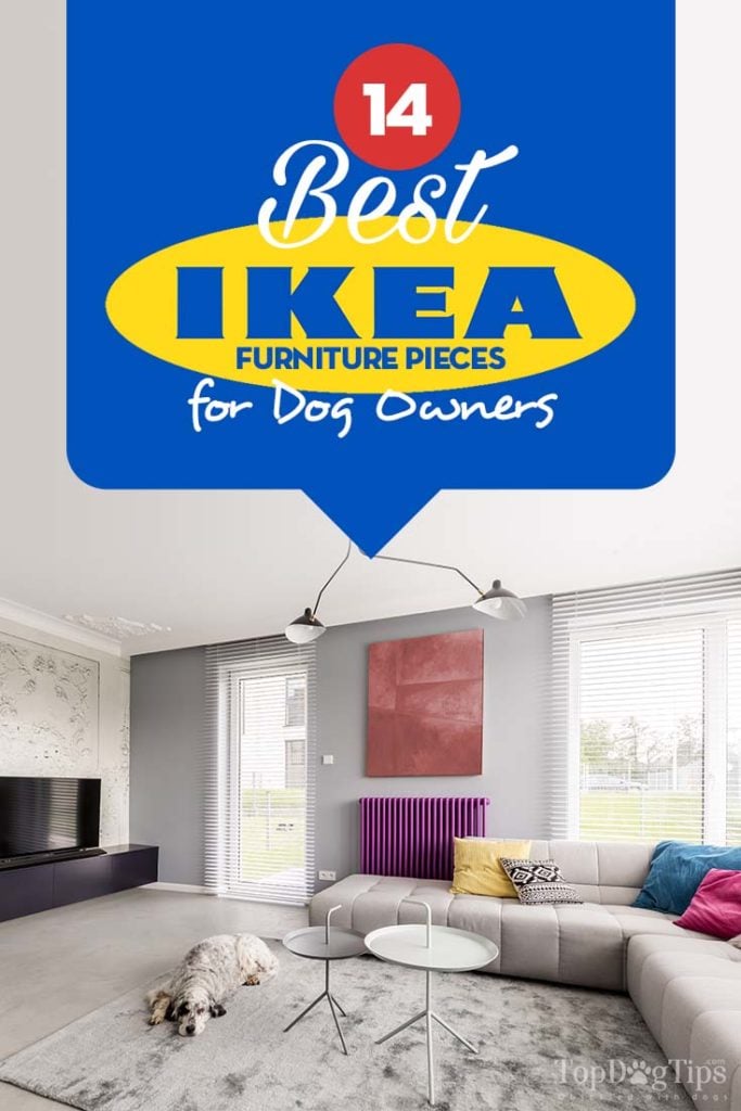 The Best IKEA Dog Furniture and Pet Supplies