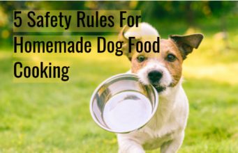 5 Safety Rules for Homemade Dog Food Cooking Brown and white dog holding a metal dog food bowl in this mouth while running