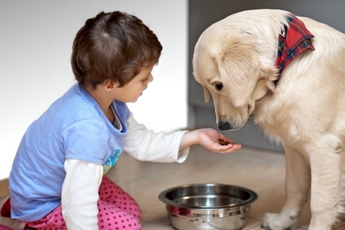 Duties for Kids to Take Care of Dogs