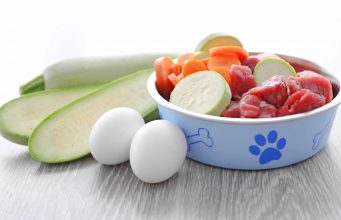 Recipe: Healthy Raw Diet for Dogs Healthy Raw Diet for Dogs