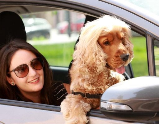 TOP #123: Ridesharing for Dogs and Their Owners Ridesharing for Dogs and Their Owners