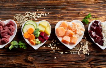 4 Reasons Why Vets Recommend Homemade Dog Food Cooking dog food homemade recipe ideas