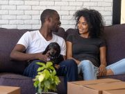 7 Best Dog-Friendly Home Insurance Companies 7 Best Dog-Friendly Home Insurance Companies