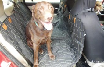 Review: OKMEE 4-in-1 Dog Car Seat Cover OKMEE Dog Car Seat Cover