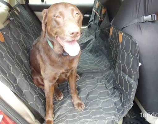 Review: OKMEE 4-in-1 Dog Car Seat Cover OKMEE Dog Car Seat Cover