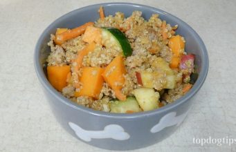Recipe: Healthy Home Cooked Meal for Dogs Healthy Home Cooked Meal for Dogs