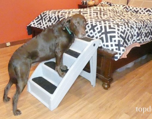 Review: PetSafe CozyUp Pet Stairs PetSafe CozyUp Pet Stairs