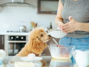 My 5 Safety Tips on Home Cooking for Dogs Cooking homemade meals for dogs with allergies