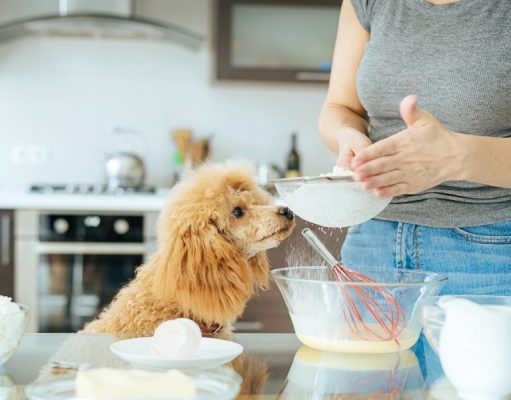 My 5 Safety Tips on Home Cooking for Dogs Cooking homemade meals for dogs with allergies