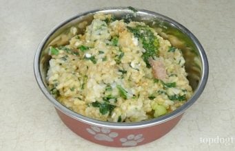 Dog Food Recipe for Picky Eaters Dog Food Recipe for Picky Eaters