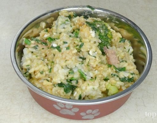 Dog Food Recipe for Picky Eaters Dog Food Recipe for Picky Eaters