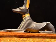 7 Most Popular Egyptian Dog Breeds in the United States Most Popular Egyptian Dog Breeds in the United States