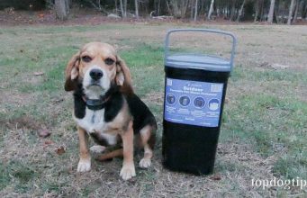 Review: PetFusion Outdoor Pet Waste Disposal PetFusion Pet Waste Disposal