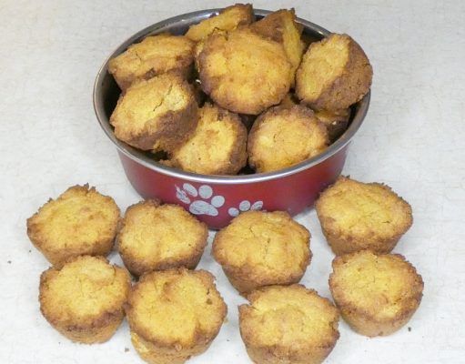 Recipe: Grain-Free Pumpkin Coconut Dog Treats Coconut Dog Treats