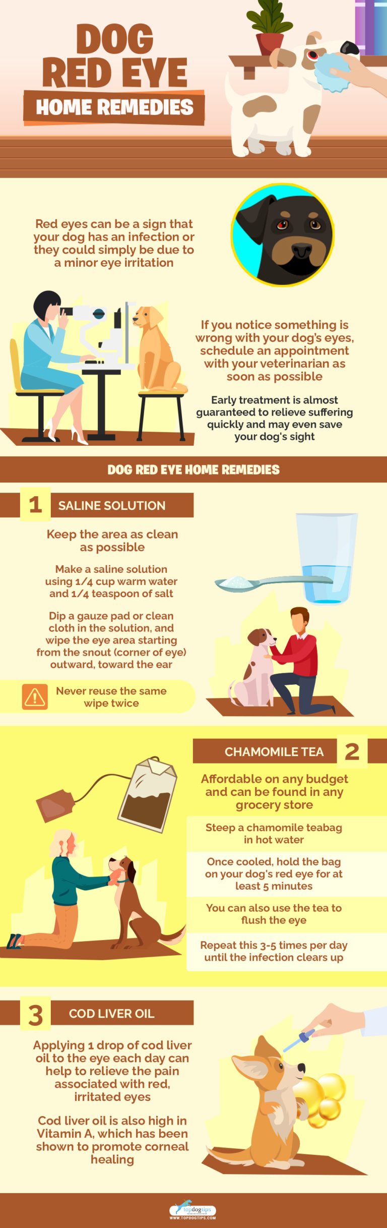 My 3 Favorite Dog Eye Infection Home Remedies