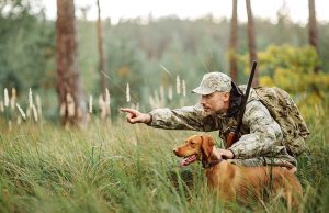 13 Best Hunting Dogs You Should Know About 13 Best Hunting Dogs
