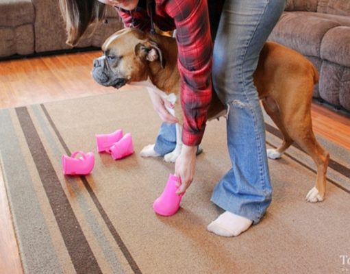 DIY Dog Boots: How To Make Them Without Sewing DIY Dog Boots