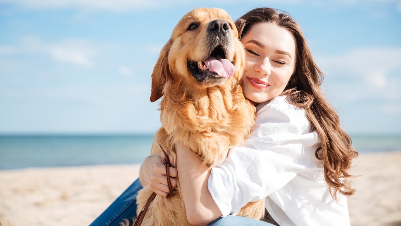 How Pet Ownership is Changing World Wide