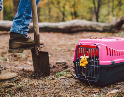 TOP #126: How To Prepare for the Passing of A Pet How To Prepare for the Passing of A Pet