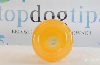 Review: Orbee-Tuff Snoop Treat Dispensing Dog Toy Orbee-Tuff Snoop Toy