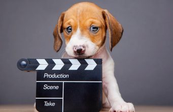 TOP #129: Making The Dog Doc Film featuring Cindy Meehl