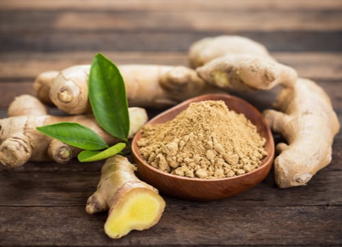 herbal remedies for dogs ginger