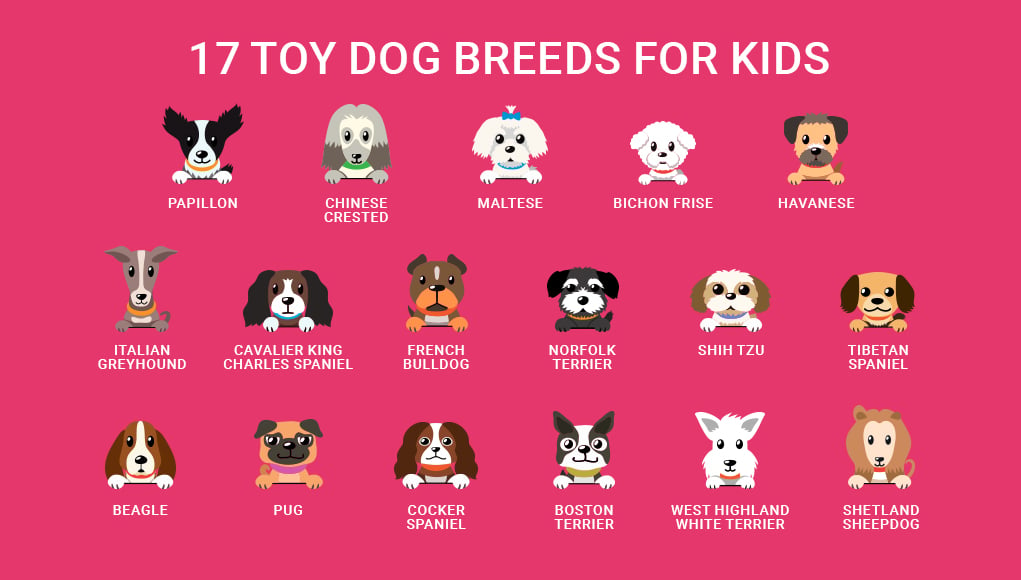 Small dog store breeds for children