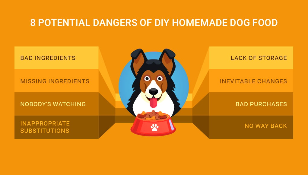 Dos and Don'ts of Making Homemade Dog Food – Neater Pets