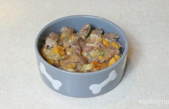 Recipe: Slow Cooker Beef Stew for Dogs and Humans Beef and Chicken Stew