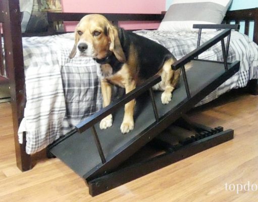 Review: Chasing Tails Adjustable Height Dog Ramp Chasing Tails Height Adjustable Dog Ramp