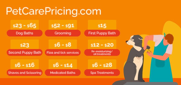 Dog Grooming Prices: How Much to Groom a Dog in Salons?