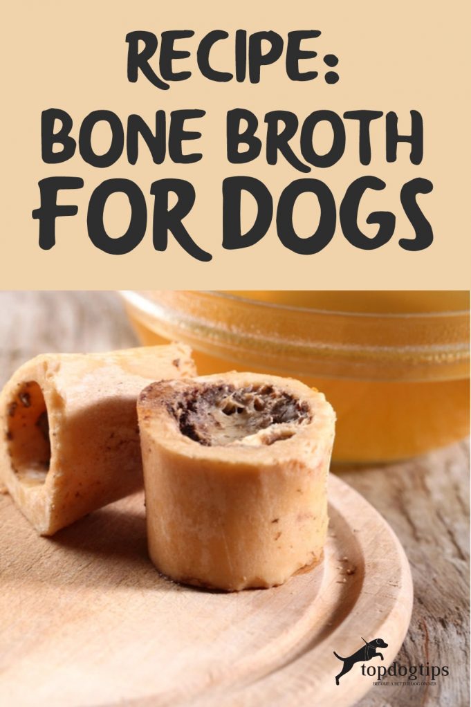 Nutritious Homemade Bone Broth for Dogs