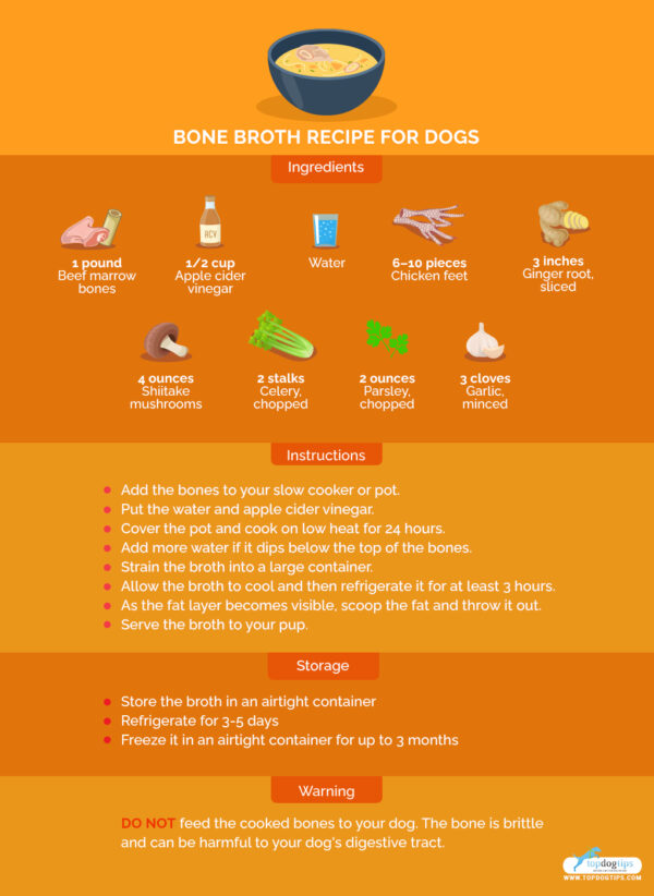 Bone Broth Recipe for Dogs Healthy and Easy to Make with a Crockpot