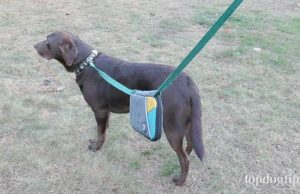 Giveaway: Spruce Leash Bag ($30+ Value) Spruce Leash Bag Giveaway