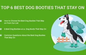 Top 6 Best Dog Booties That Stay On Dog Booties That Stay On