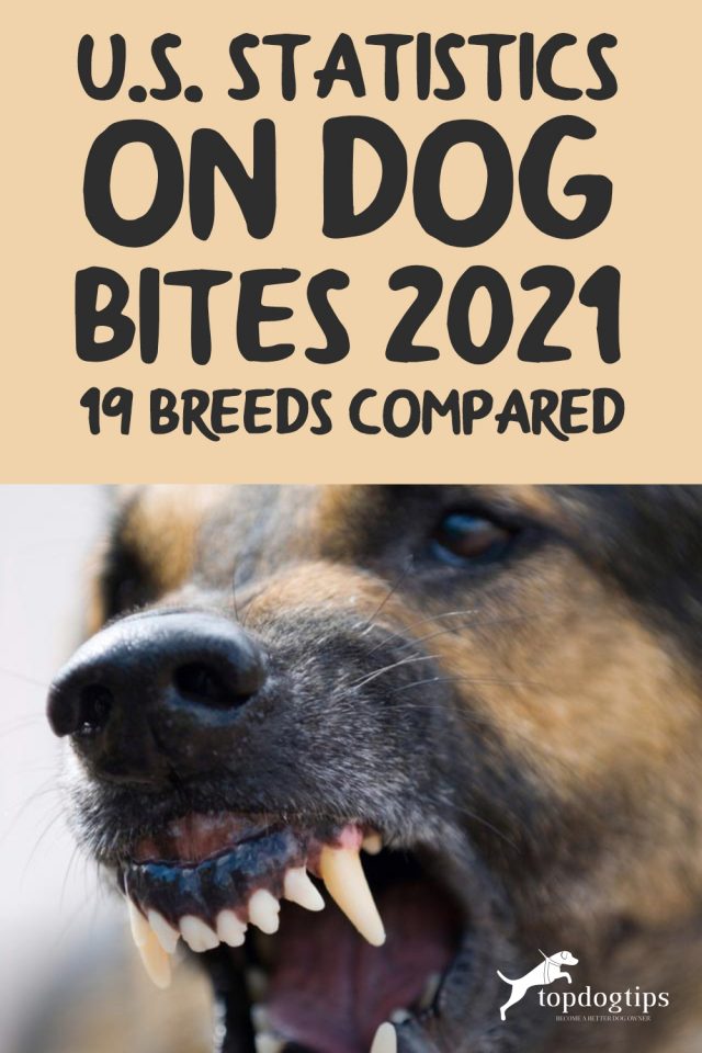 U S Statistics On Dog Bites 2021 19 Breeds Compared