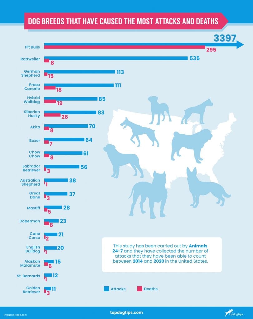 what breed of dog has attacked the most