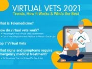 Virtual Vets Trends: How It Works & Who’s the Best Virtual Vets 2021 banner