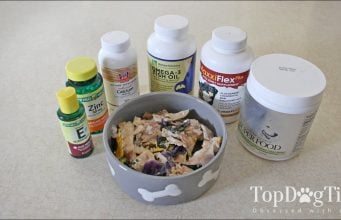 The Dog Supplements for Homemade Dog Food Meals You Need