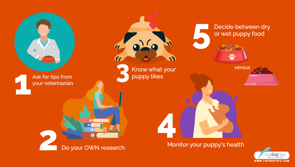 5 Tips on Choosing the Best Puppy Food for Young Dogs Top Dog Tips