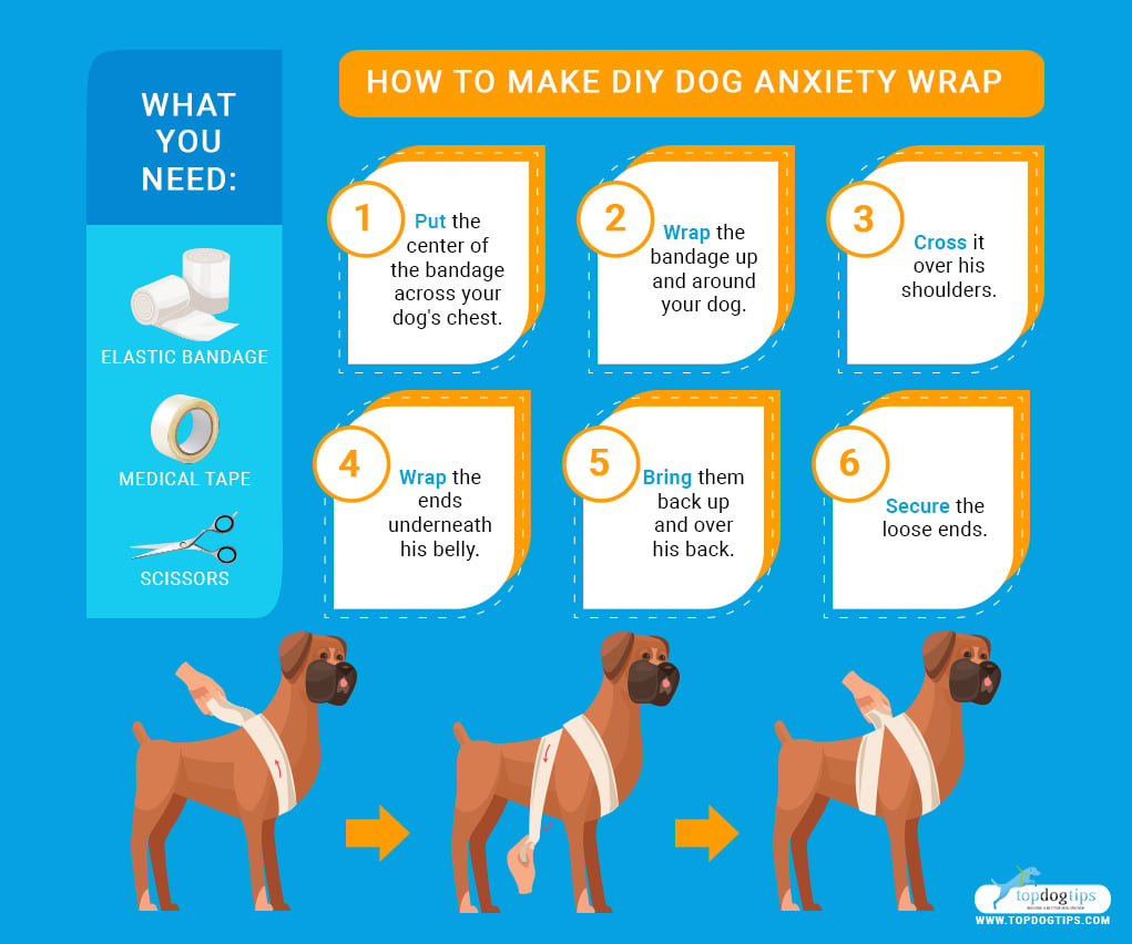 how do you wrap a dog with anxiety