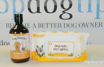 Review: DhohOo Dog Shampoo and Grooming Wipes DhohOo Dog Shampoo