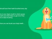 VIDEO GUIDE: Learn How To Brush Your Dog’s Teeth Brush Your Dogs Teeth