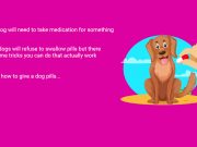 How To Give A Dog Pills or Medication Give A Dog Pills