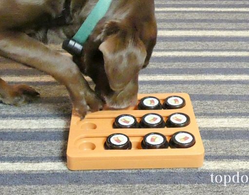 Review: Our Pets Sushi Puzzle Dog Toy Our Pets Sushi Dog Puzzle Toy